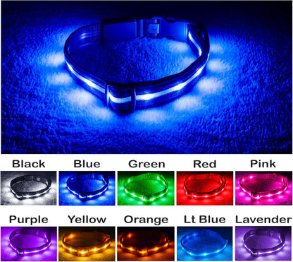 Brightest Light up Dog Collars - the Original LED Dog Collar with 1,000 Feet of Visibility - USB Rechargeable Waterproof Dog Collar Light - Dog Lights for Night Walking - USA Brand